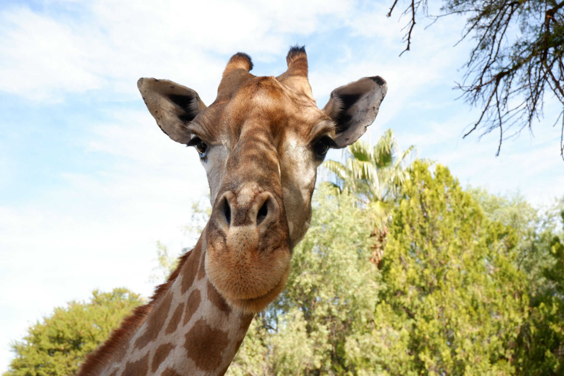 4-Day Ngorongoro, Tarangire & Materuni Budget Safari