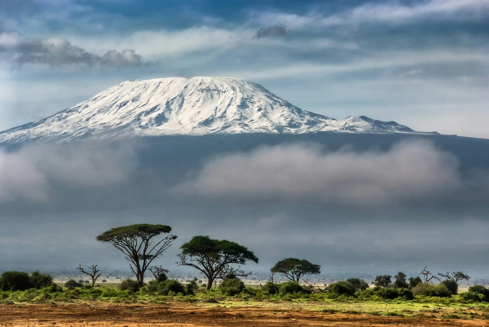 Safari photograph from Tanzania