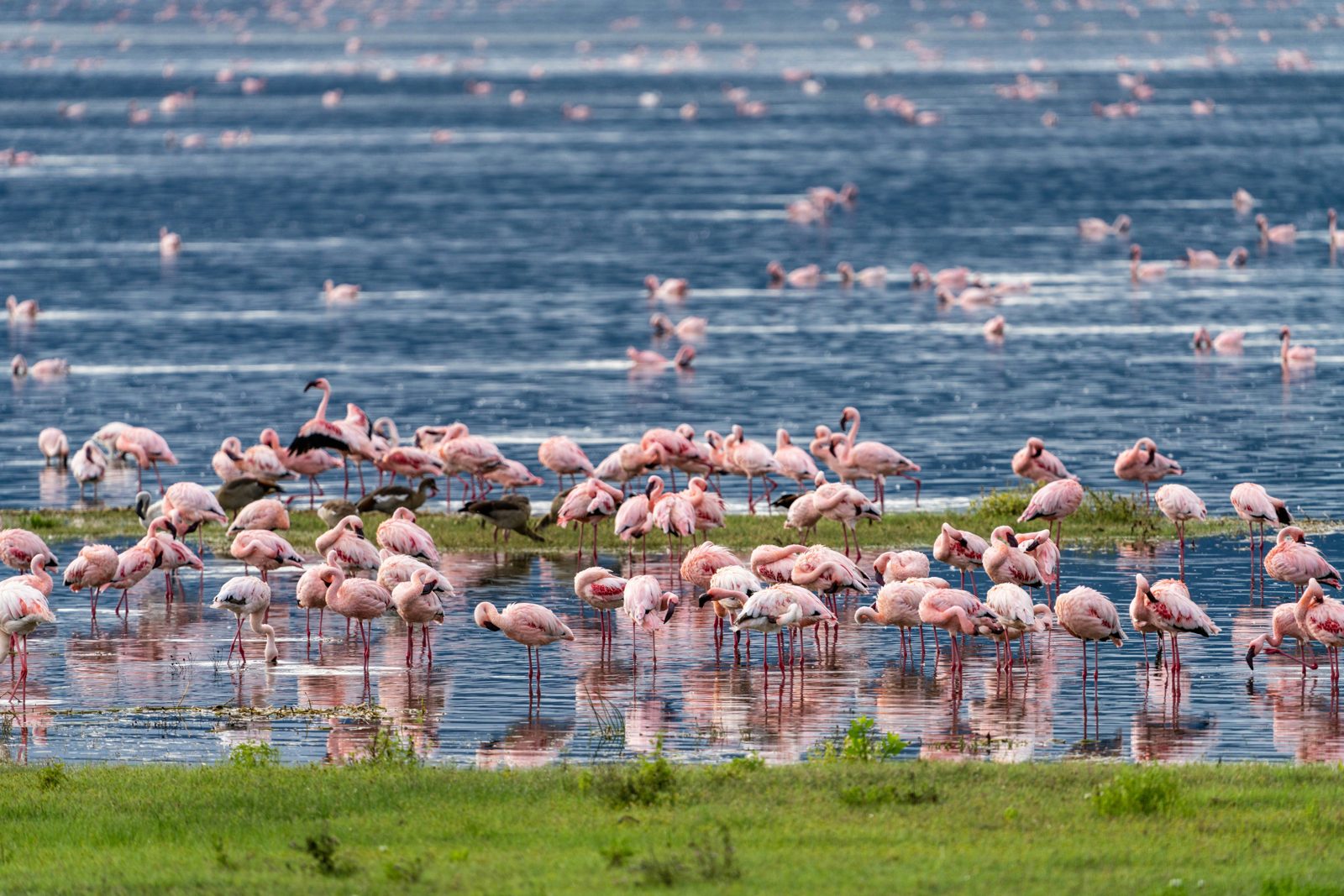 4-Day Beach to Bush Fly-In Luxury Safari