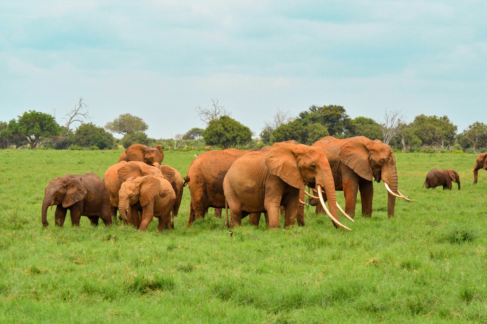 Tarangire National Park