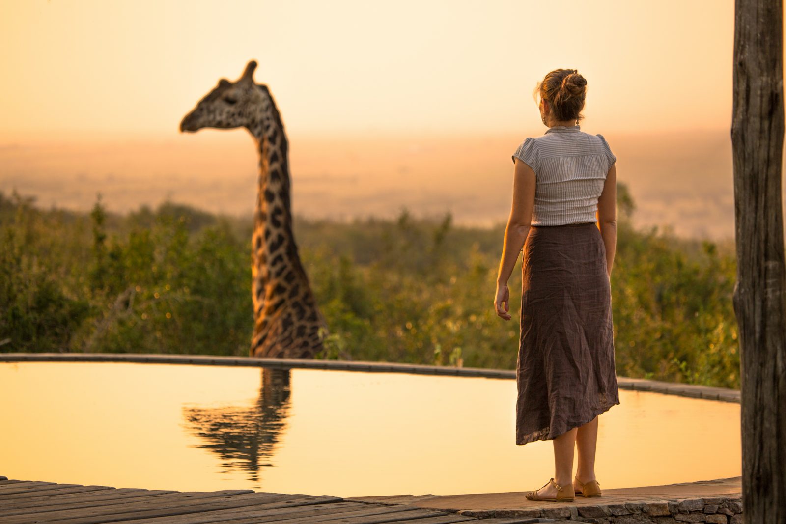 6-Day Luxury Safari