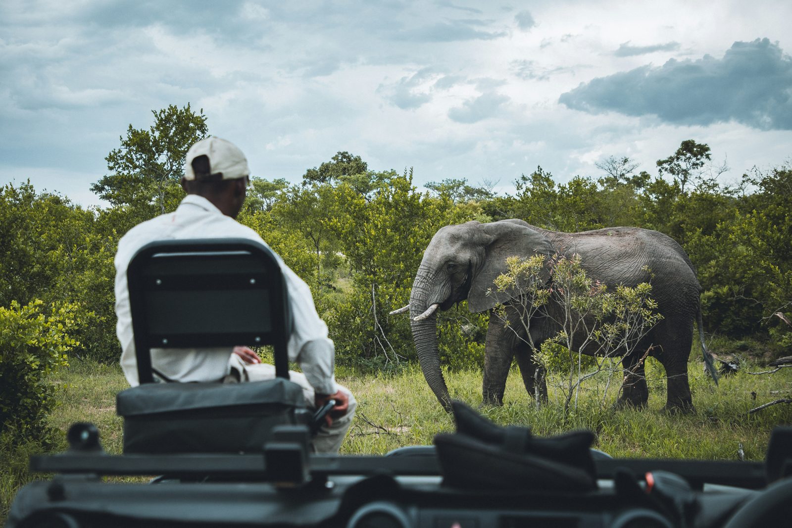 6-Day Classic Safari (Without Serengeti)
